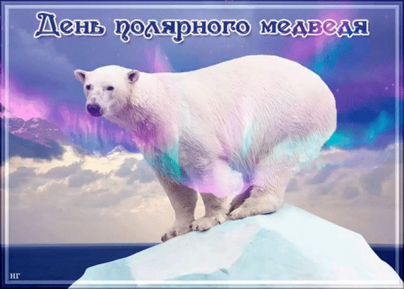 Итоги акции «Белый медведь на открытке»