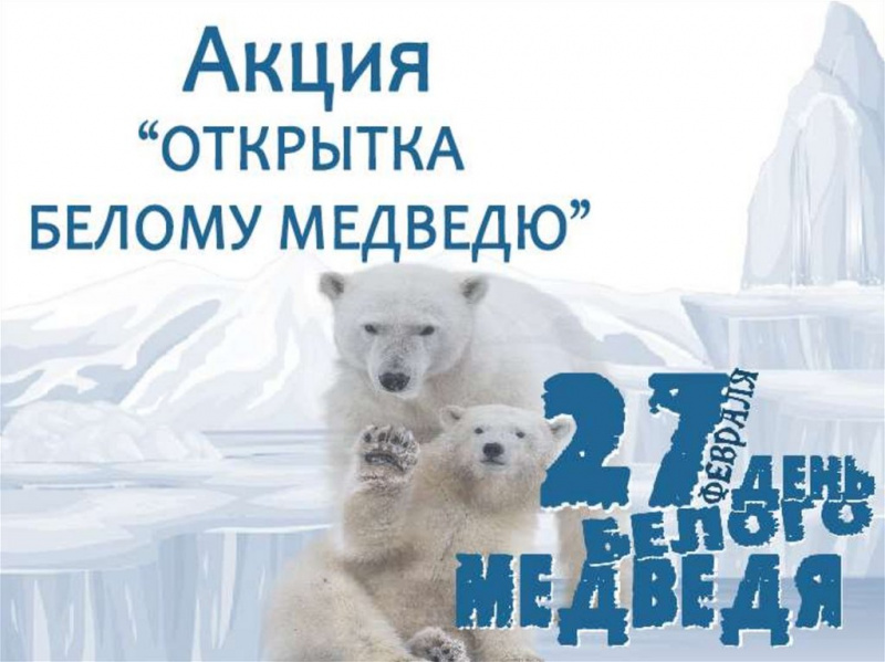 Внимание конкурс! «Белый медведь на открытке – 2023. Белый медведь и спорт»